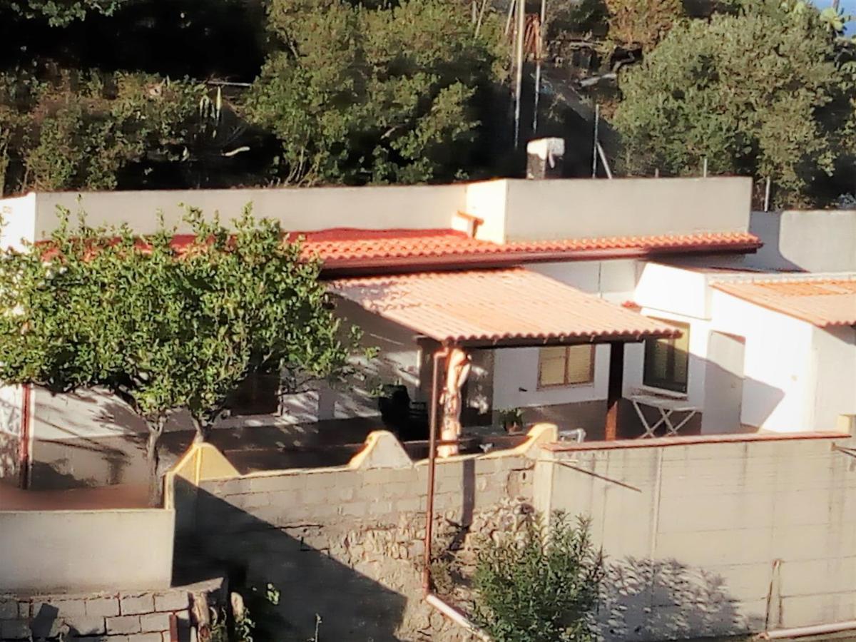 Sa Corte Antiga Nebida Exteriér fotografie