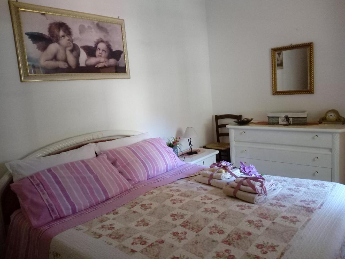 Sa Corte Antiga Nebida Exteriér fotografie